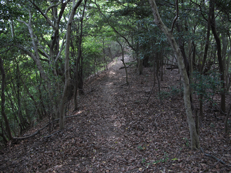 20140426hike (352)